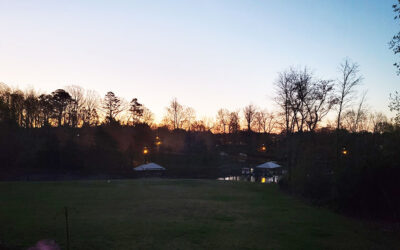 Why Are We Doing This?