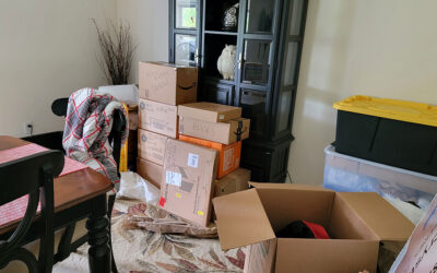 Anticipated Challenges